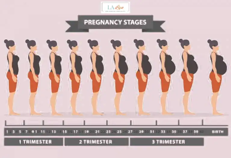 First Trimester (Weeks 1–12): Early Changes You Might Not Notice Cleveleys